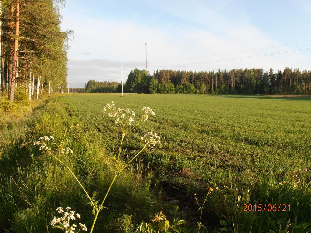 Kalliomajat Ylivalli Bagian luar foto